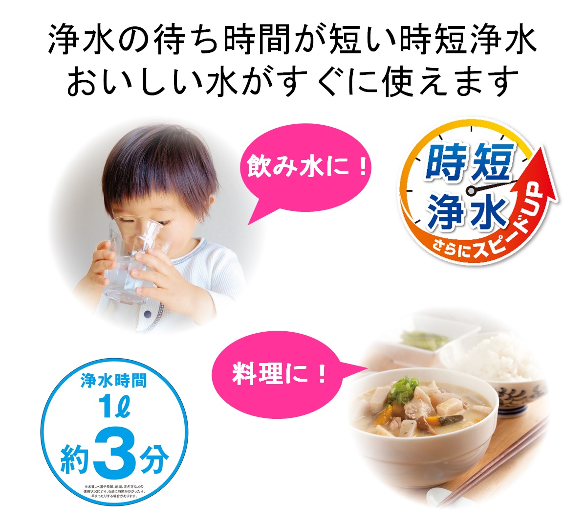 東レ トレビーノ カートリッジ PTC.SV2J(2個入り)