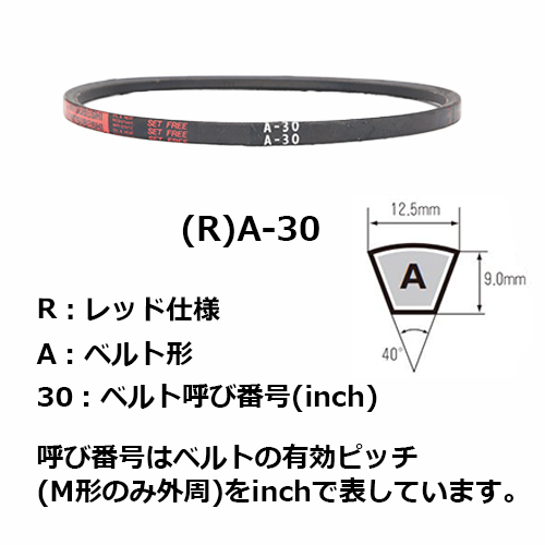 ra-48 コレクション vベルト