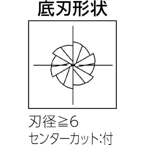 大見 高硬度鋼加工用エンドミル 刃数6 刃径10mm OEHSR-0100の通販｜現場市場