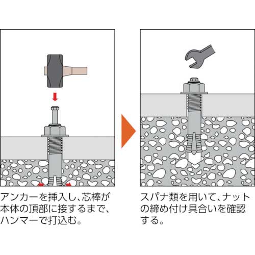 TRUSCO オールアンカーSCタイプ ステンレス M20X150 2本入