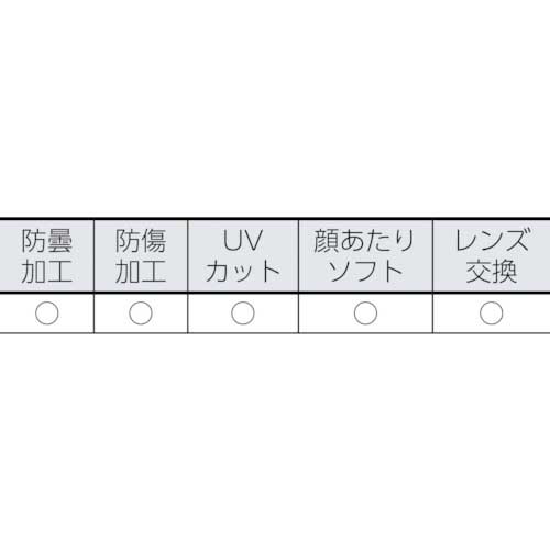 SMITH OP イージス アーク (AEGIS ARC) アンチフォグ加工 AEGABK12A-2R