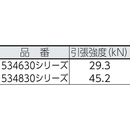 お取り寄せ】BlueWater セイフライン 9.5φ×91m 赤／黄 534630RDYE-