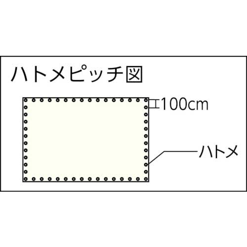 TRUSCO ジャンボシート#2500 幅10.0mX長さ15.0m JS25-1015の通販｜現場市場