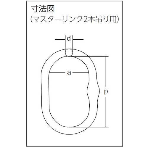 象印 チェーンスリング100(アイタイプ)荷重4.3t線径10.0mmL1.5m(2-MFF