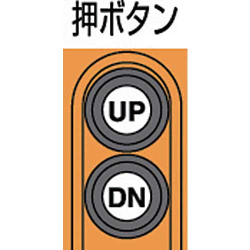 象印 単相200V小型電気チェーンブロック(1速型)160KG・3M (αH-016 3m