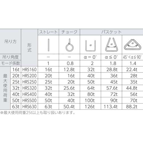 大洋 インカ ヘビーラウンドスリング ２０ｔ×１．０ｍ HRS200X1