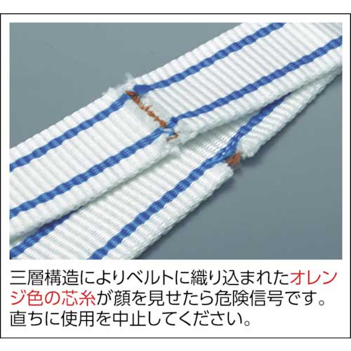 TESAC 耐化学薬品用スリング(JIS2等級・両端アイ形)50mm幅×4.5m