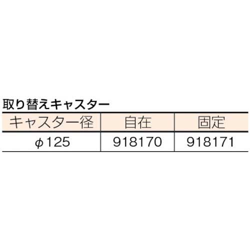 サンコー 樹脂製運搬車 805408 ハンドカーSM(固定ハンドルタイプ