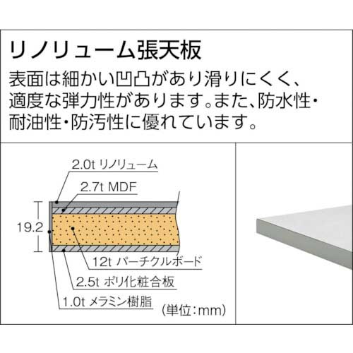 TRUSCO RAE型作業台 900X450XH740 ヤンググリーン色 RAE-0945 YGの通販