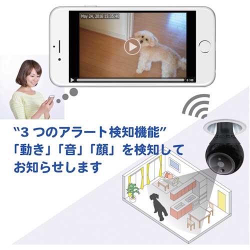 プラグインカム 360度自動追尾カメラ PlugInCam ROBOT 210×100 PIC-360