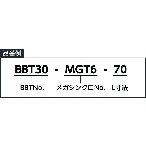 BIG メガシンクロタッピングホルダタップホルダ M10、U3/8 適用 MGT12-M10 U3/8- 30