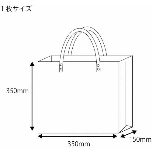 シモジマ 透明バッグ 中 10枚入り 006464030