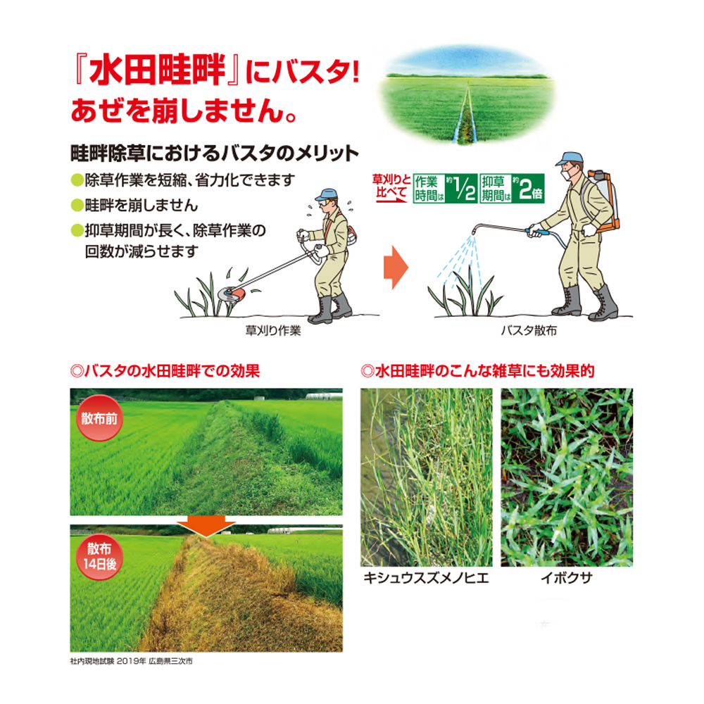 BASFジャパン 茎葉処理除草剤 バスタ液剤 5Lの通販｜現場市場