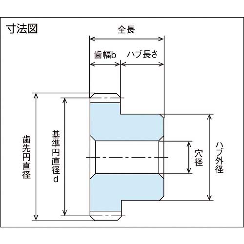 KG 平歯車 フードコンタクト 青POM ギヤシリーズ 形状B1 モジュール3