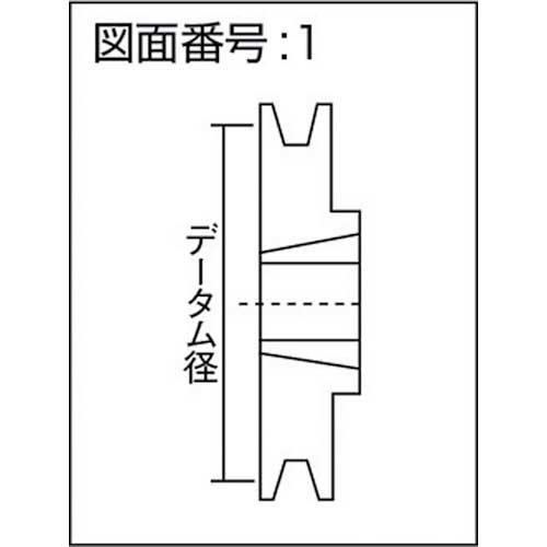 EVN ブッシングプーリー SPZ 300mm 溝数1 SPZ300-1の通販｜現場市場