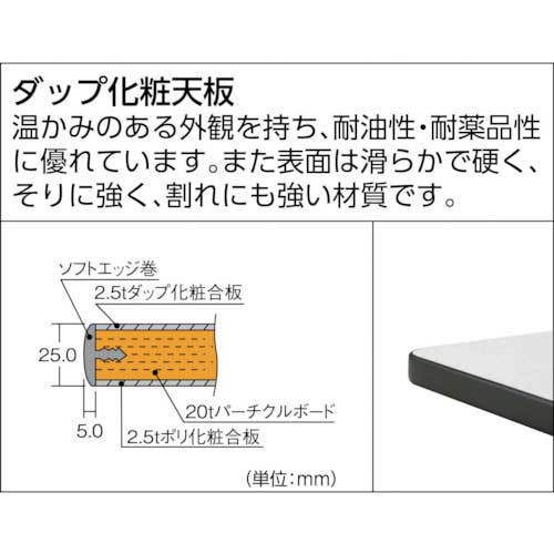 TRUSCO AEWP型作業台 900X600XH740 ダークグレー色 AEWP-0960の通販