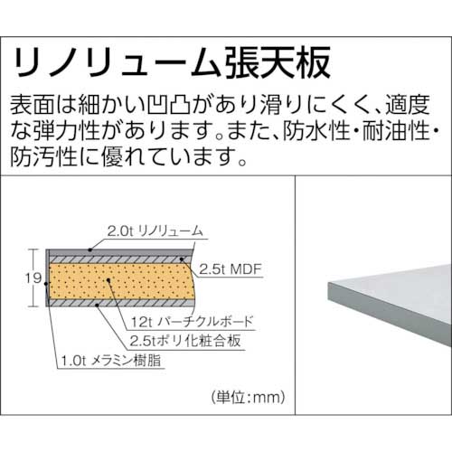 TRUSCO RAEM型高さ調節作業台 900X600 φ75キャスター付 RAEM-0960C75の