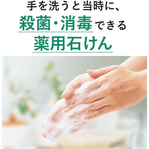 サラヤ 手洗い石けん液 シャボネットP-5 5kg 30827