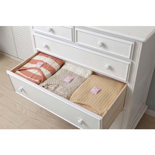 アース 消臭ピレパラアース 1年間防虫 引き出し・衣装ケース用 無臭タイプ 565419