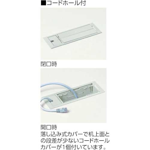 トヨスチール 両袖デスクコードホール付(旧JISタイプ) 100CG-C811Nの