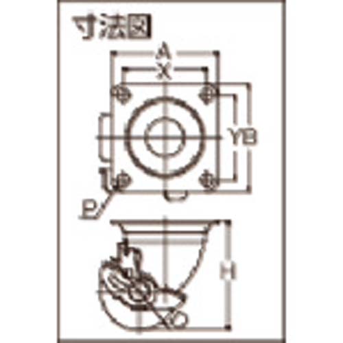 ユーエイ プレート式 自在 ステンレス低床キャスター 強化ナイロン 車輪径50mm ストッパー付き Hタイプ SUS-HG-S型 取付寸法50×50 SUS-HG-50GNBS