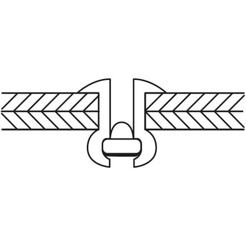 エビ ブラインドリベット(丸頭) ステンレス/ステンレス製 4-6(1000本入) LST46