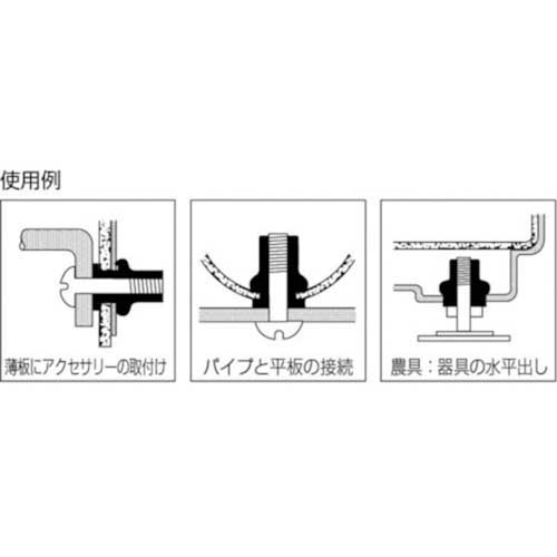 エビ ブラインドナット“エビナット”(薄頭・ステンレス製) 板厚2.0 M10