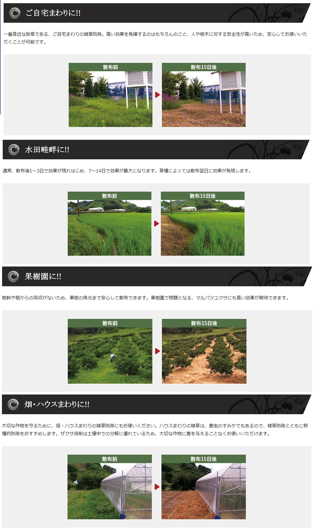 三井化学 茎葉処理除草剤 ザクサ液剤 6L