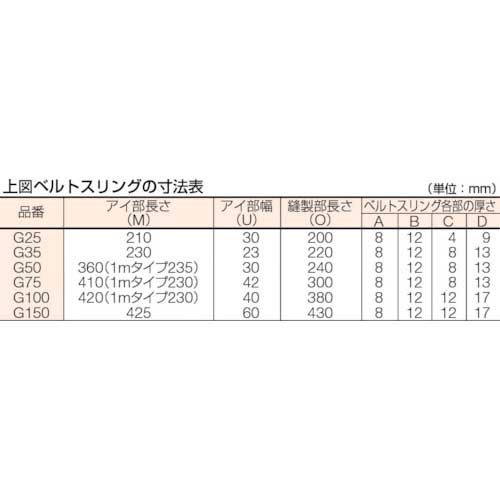 TRUSCO ベルトスリング JIS3等級 両端アイ形 100mmX10.0m G100-100の