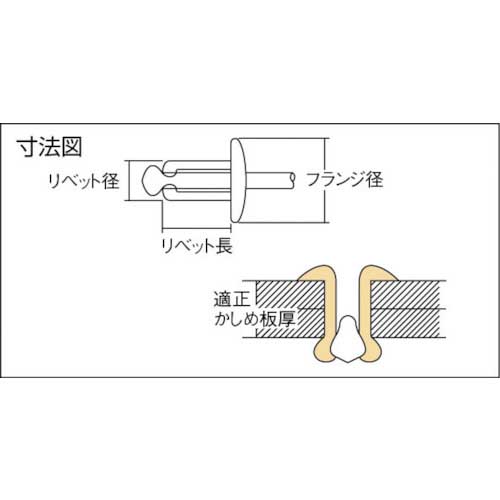 エビ ブラインドリベット(アルミニウム/ステンレス製) 6-16(500本入