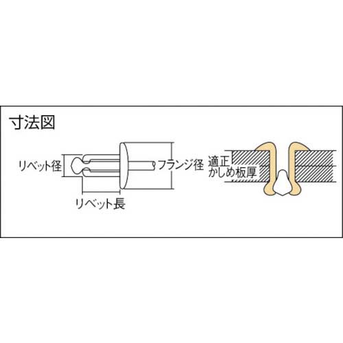 エビ ブラインドリベット(スティール/スティール製) 6-3(1000本入) 箱