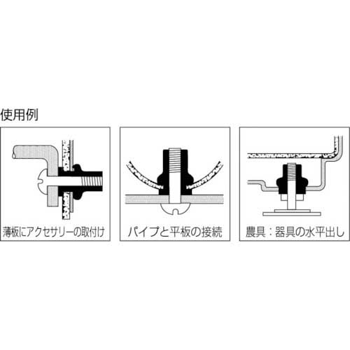 エビ ブラインドナット“エビナット”(薄頭・ステンレス製) 板厚2.0 M10