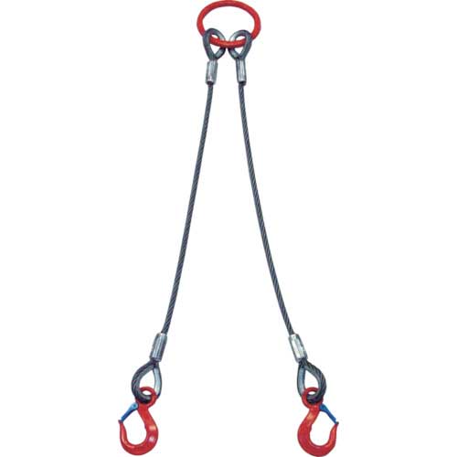 大洋 2本吊 ワイヤスリング 1t用×2m(1011687) 2WRS 1TX2の通販｜現場市場