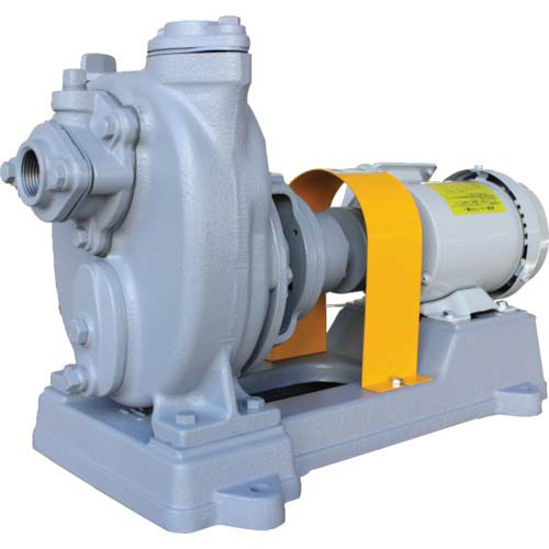 寺田 セルプラポンプ 鋳鉄製グランド式 モーター付